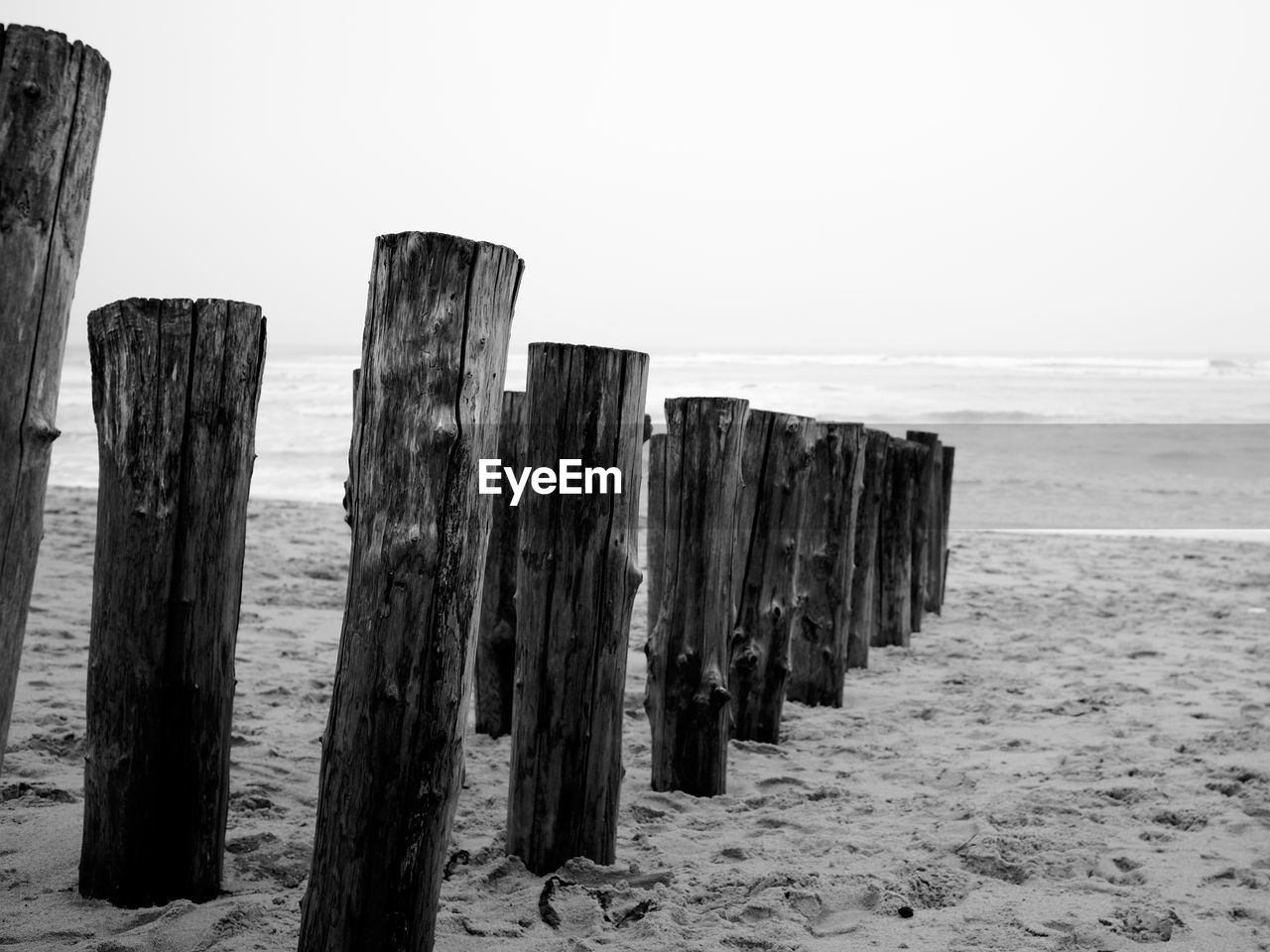 PANORAMIC VIEW OF WOODEN POSTS ON BEACH AGAINST CLEAR SKY