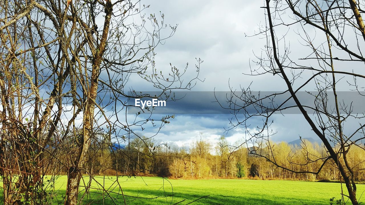 Scenic view of field against cloudy sky