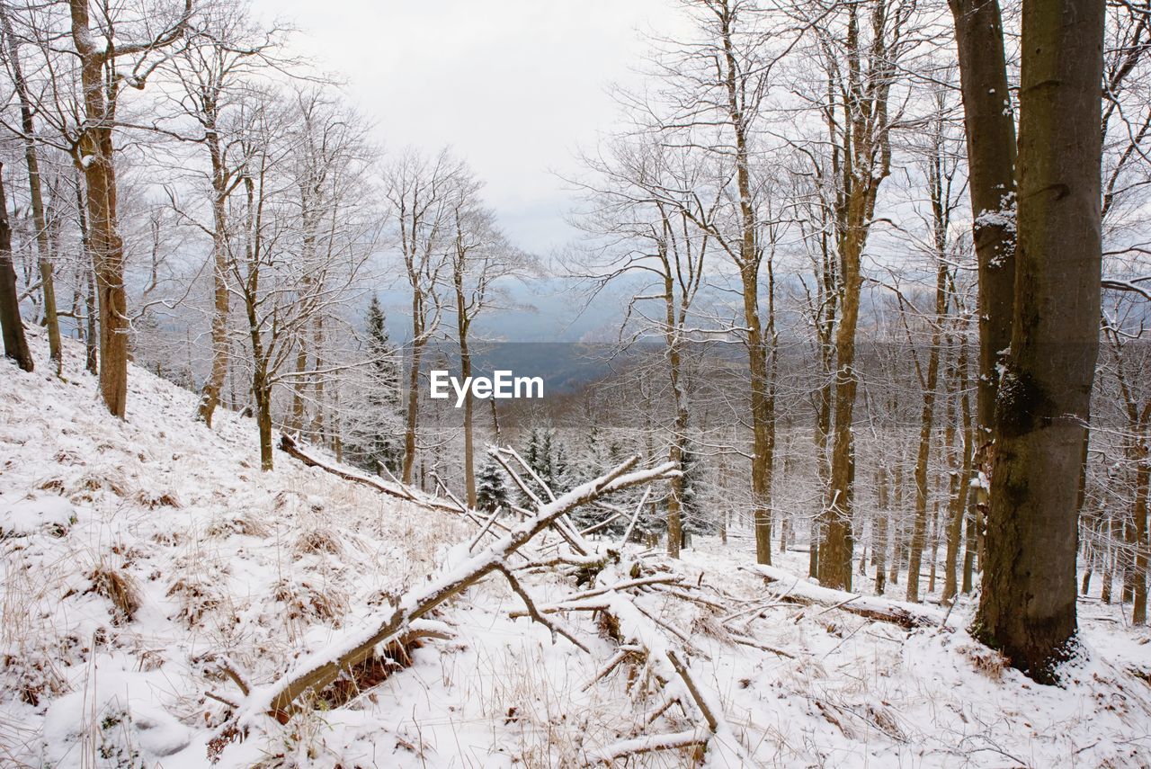 Sad moody, deep melancholy. fallen trunk on stony hill. snowy slippery boulders.