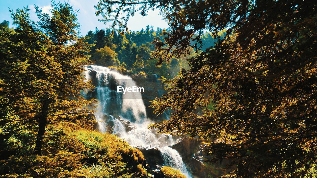 SCENIC VIEW OF WATERFALL AGAINST TREES