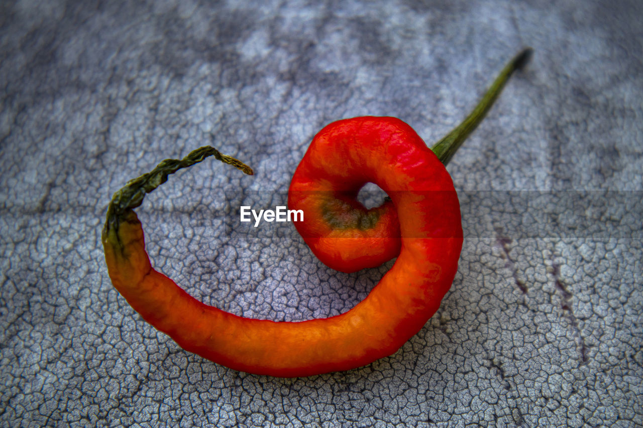 High angle view of chili pepper