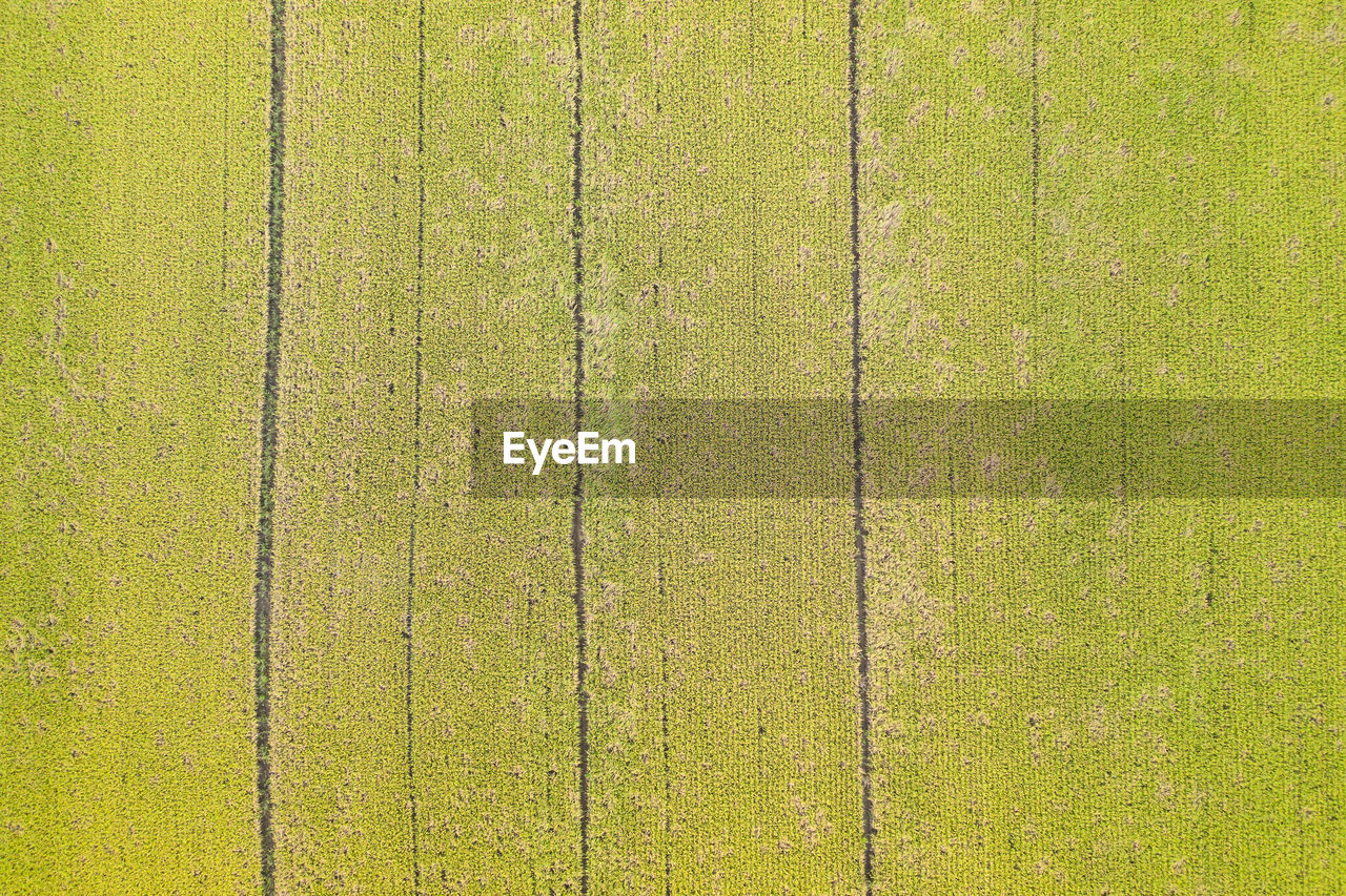 Aerial view of landscape