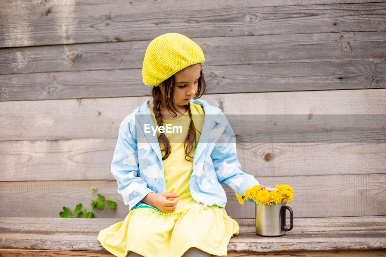  little girl in a yellow beret, blue raincoat with bouquet dandelions in cup near old wooden wall