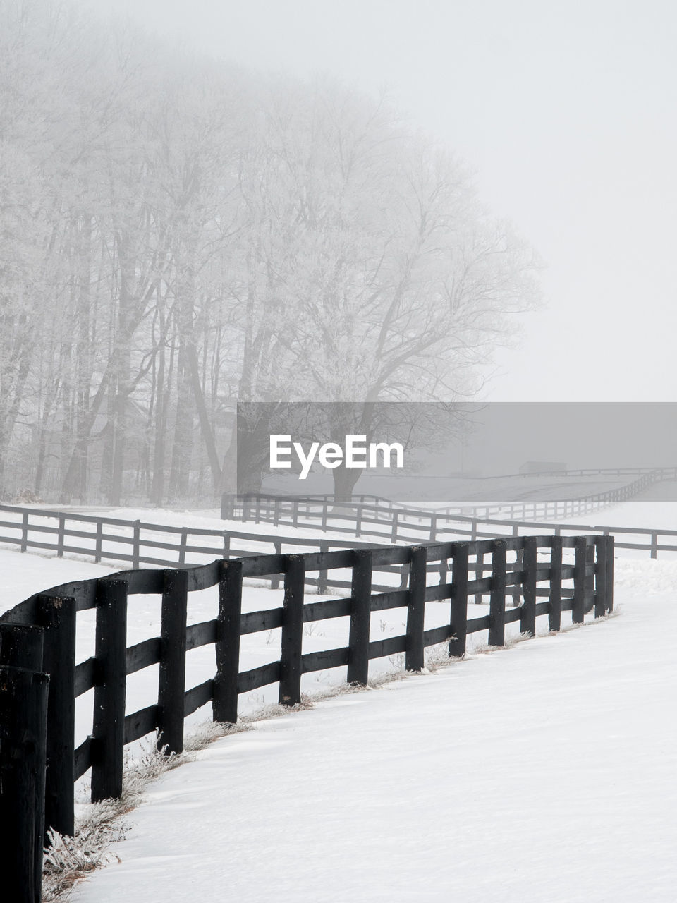 SNOW COVERED LAND AND BARE TREES BY FENCE DURING WINTER