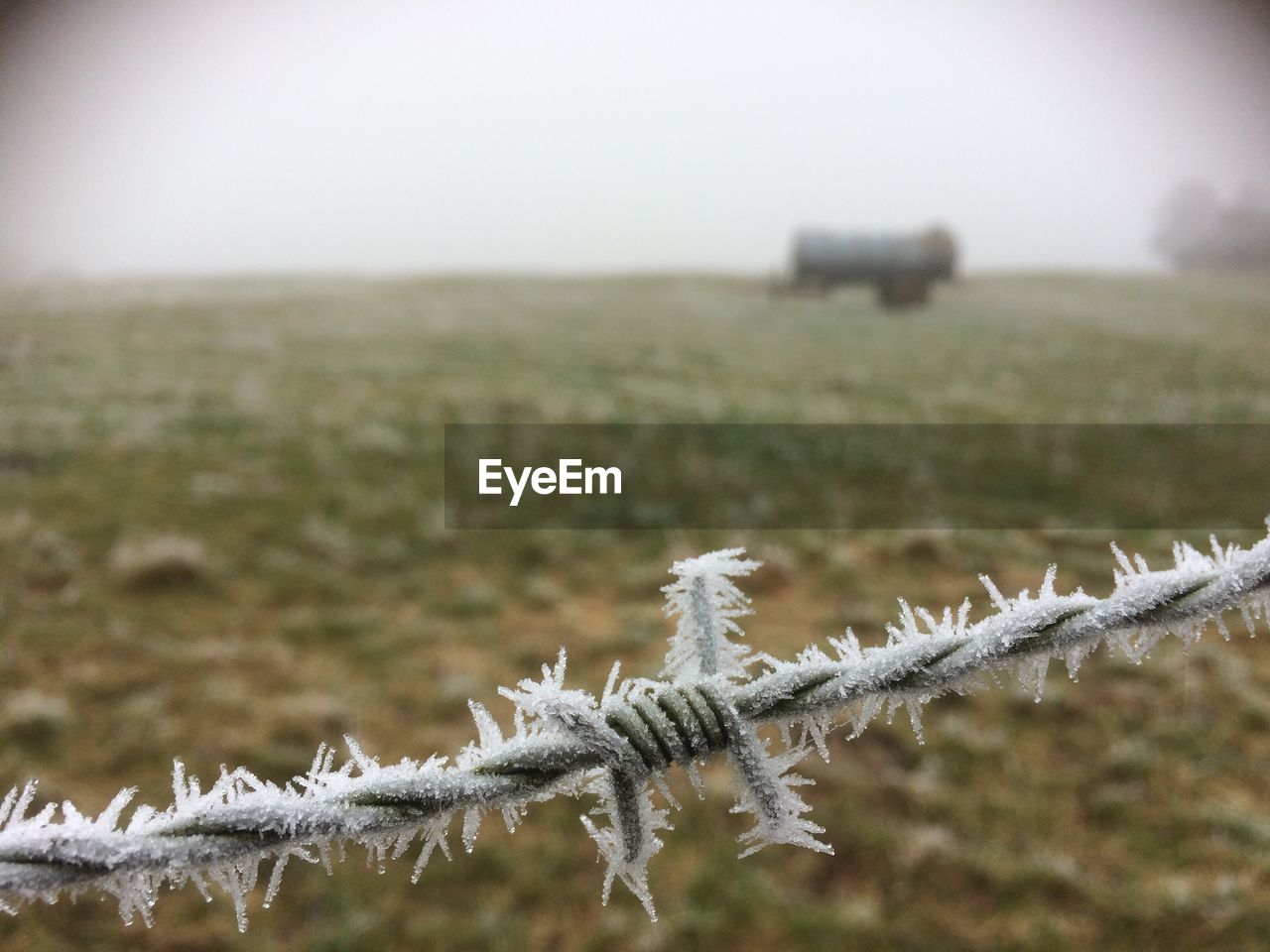 Close-up of snow on field against sky