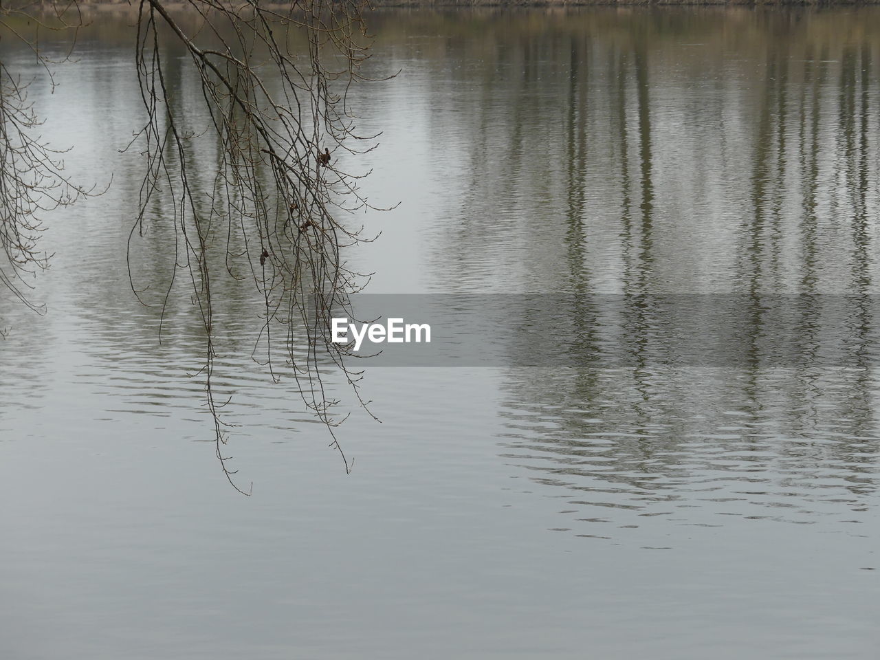 VIEW OF RIPPLED LAKE