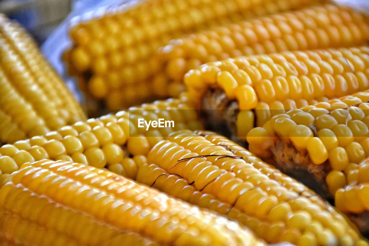 Detail shot of cob corns