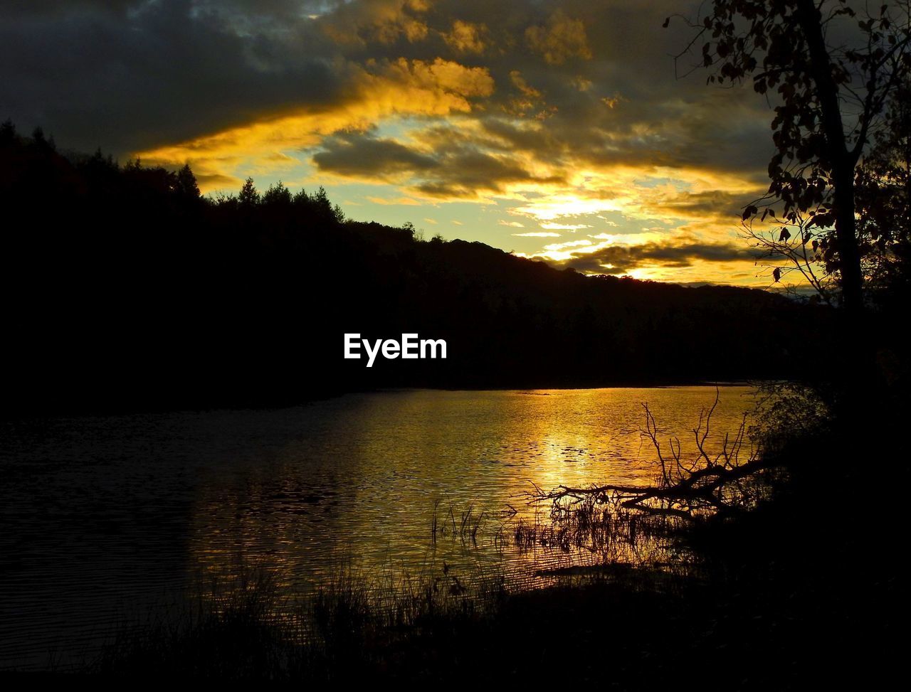 SILHOUETTE TREES BY LAKE AGAINST SKY DURING SUNSET