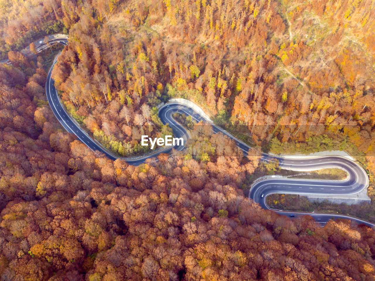 Aerial view of winding road amidst tree