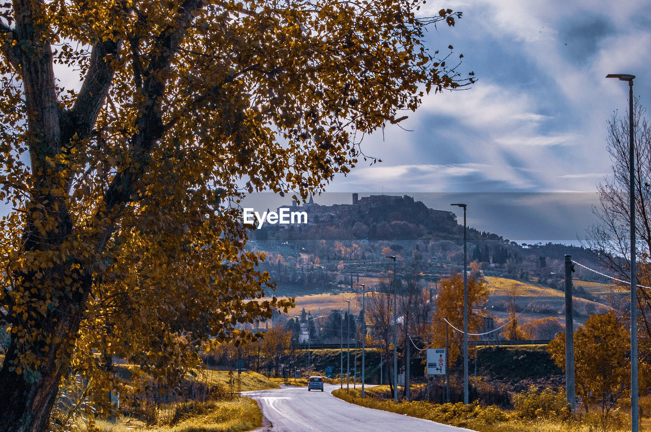 ROAD AMIDST TREES DURING AUTUMN AGAINST SKY