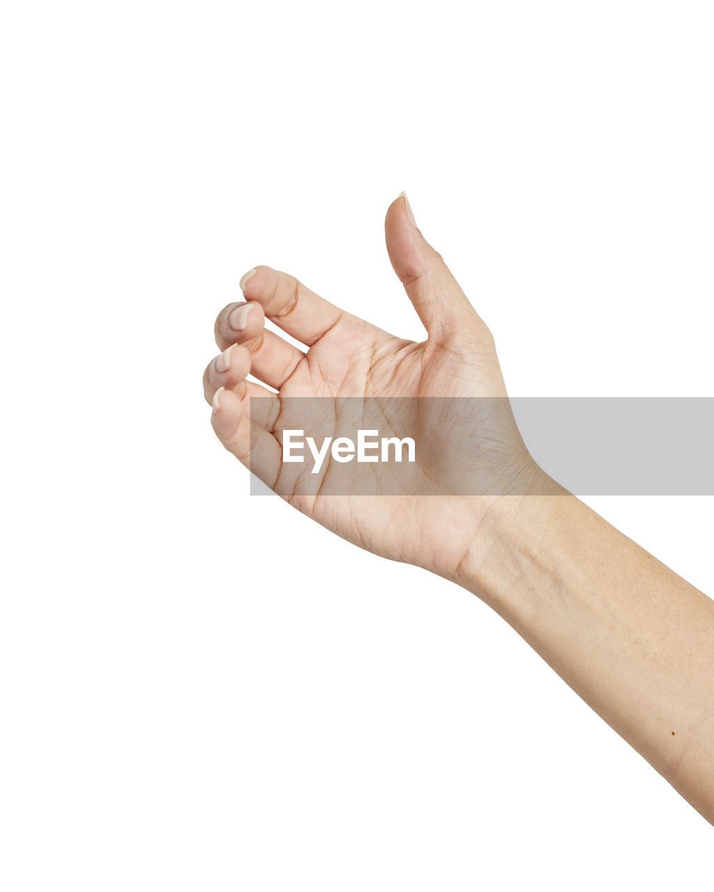 Cropped human hand gesturing against white background