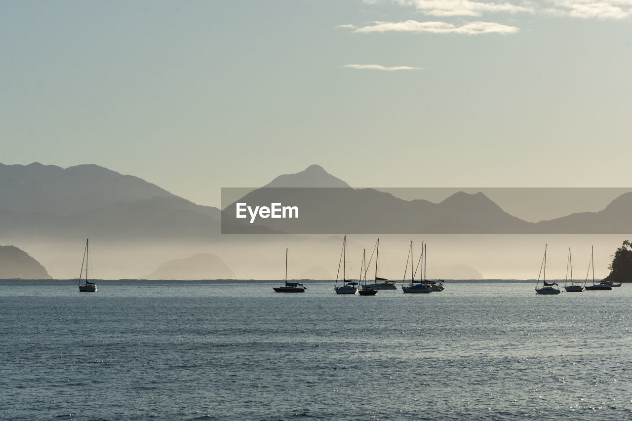 Sailboats in sea against sky