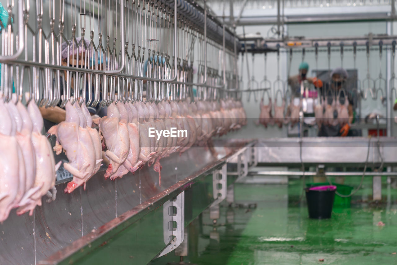 Production process of chicken parts for consumption.