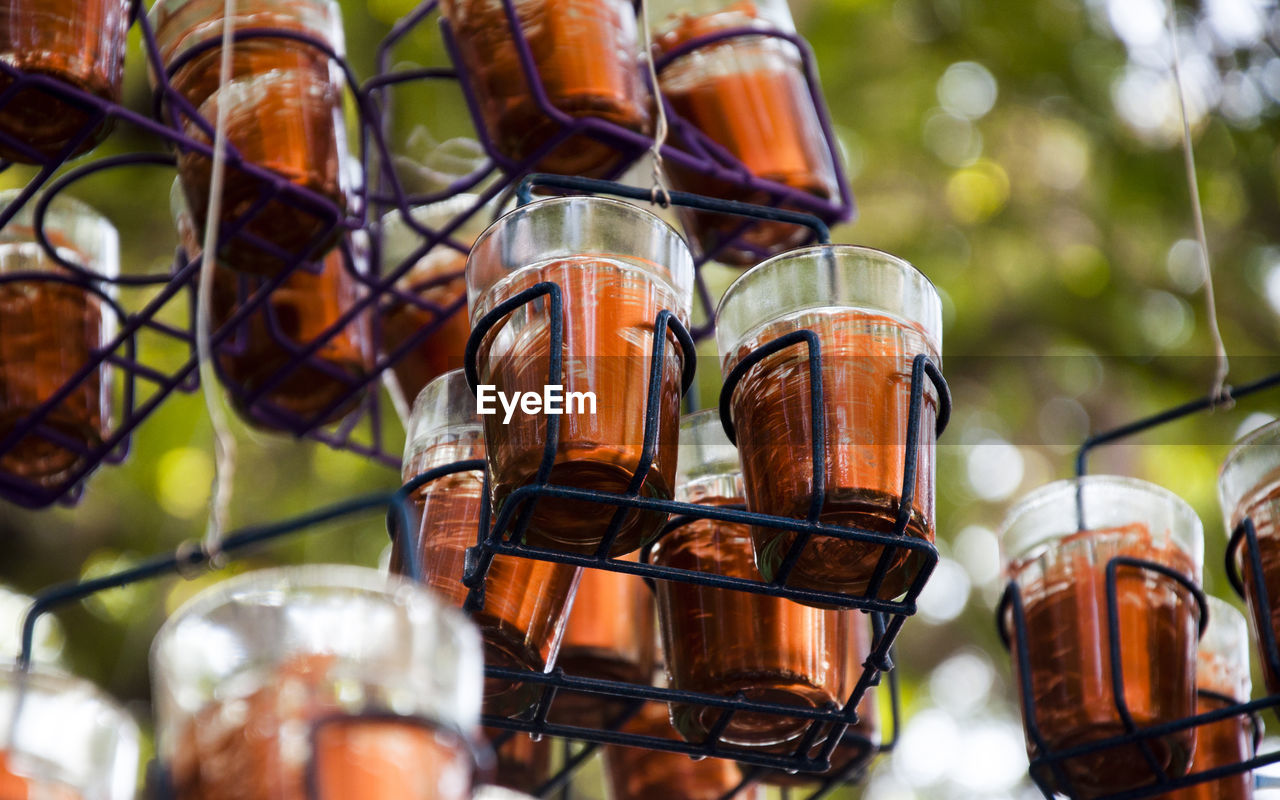 Low angle view of tea against trees