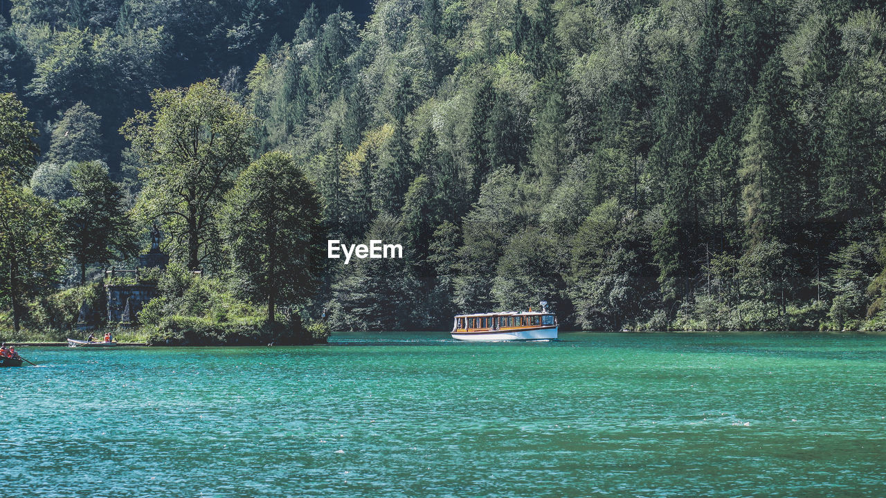 SCENIC VIEW OF RIVER AGAINST TREES IN FOREST