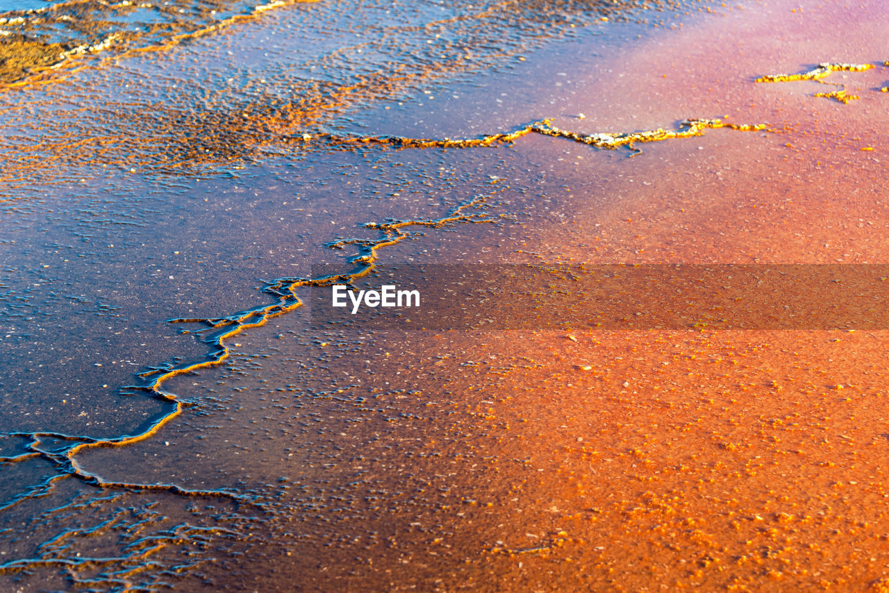Close-up of bacteria mat at grand prismatic spring in yellowstone national park