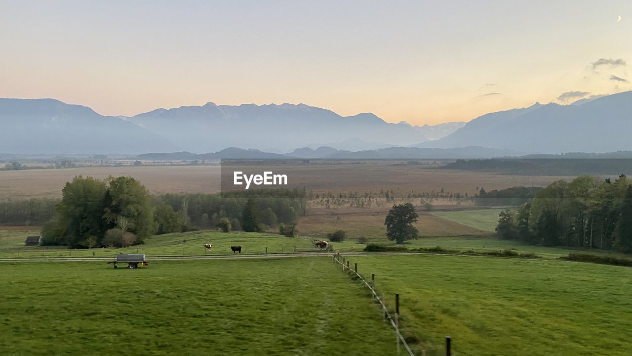 SCENIC VIEW OF TREES ON FIELD AGAINST SKY DURING SUNSET