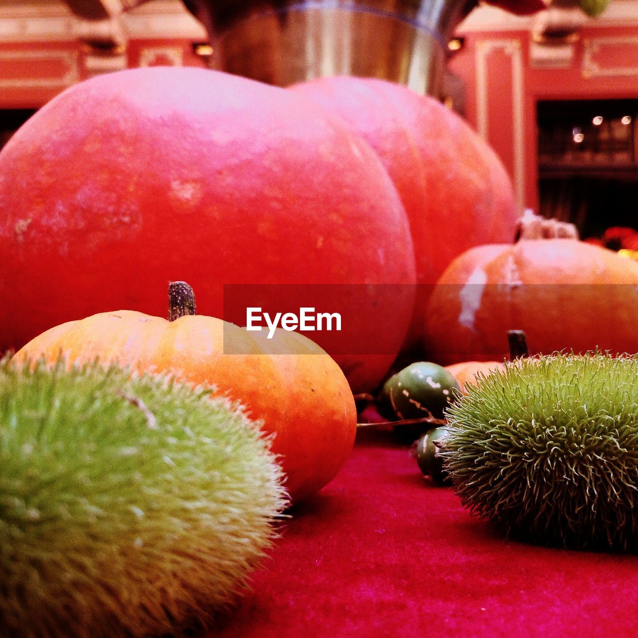 CLOSE-UP OF PUMPKIN ON PUMPKINS