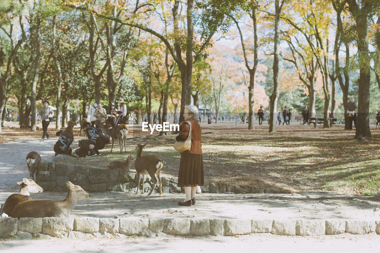 WOMAN STANDING BY TREE TRUNK