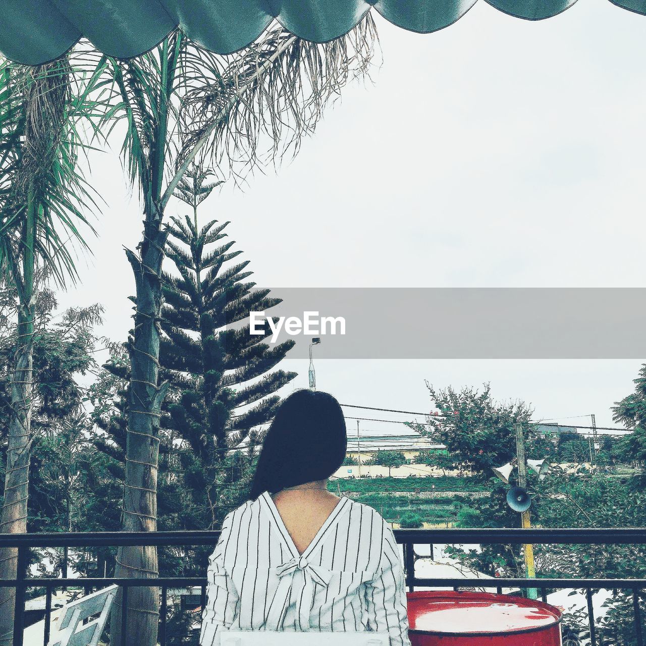 REAR VIEW OF MAN STANDING BY PALM TREES AND PLANTS AGAINST SKY