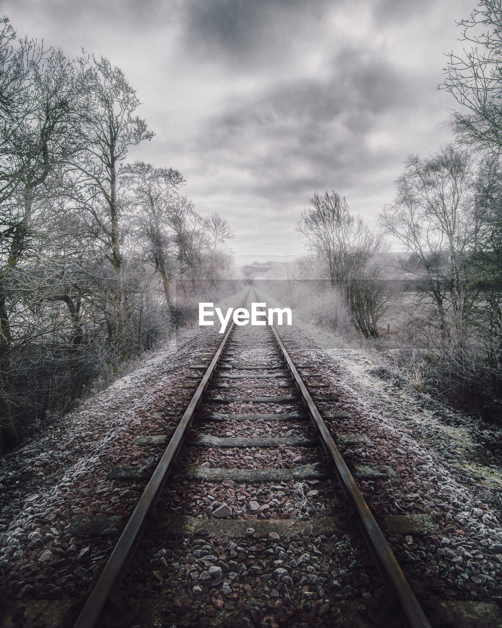 Railroad track amidst trees against sky during winter