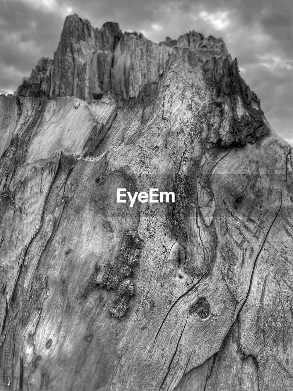 rock, cloud, black and white, nature, sky, monochrome photography, monochrome, textured, mountain, tree, no people, landscape, beauty in nature, terrain, rough, outdoors, environment, land, rock formation, geology, day, wood, scenics - nature, bark, non-urban scene, tree trunk, tranquility, plant, trunk, mountain range, pattern, travel destinations, extreme terrain