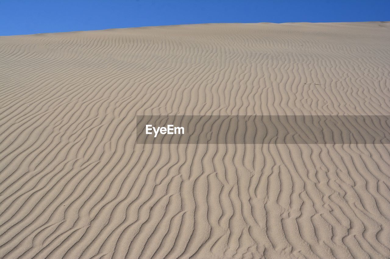 VIEW OF SAND DUNE