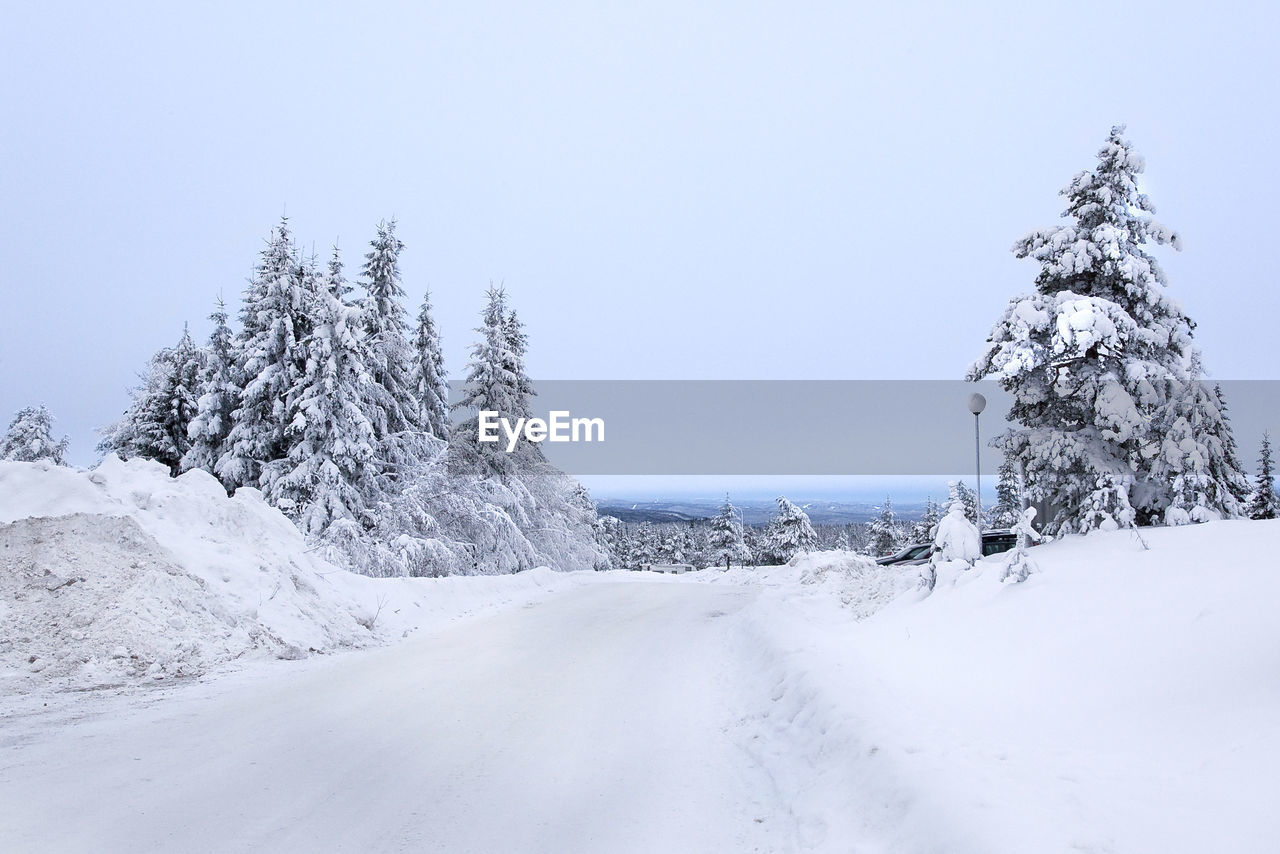 TREES ON SNOW AGAINST CLEAR SKY