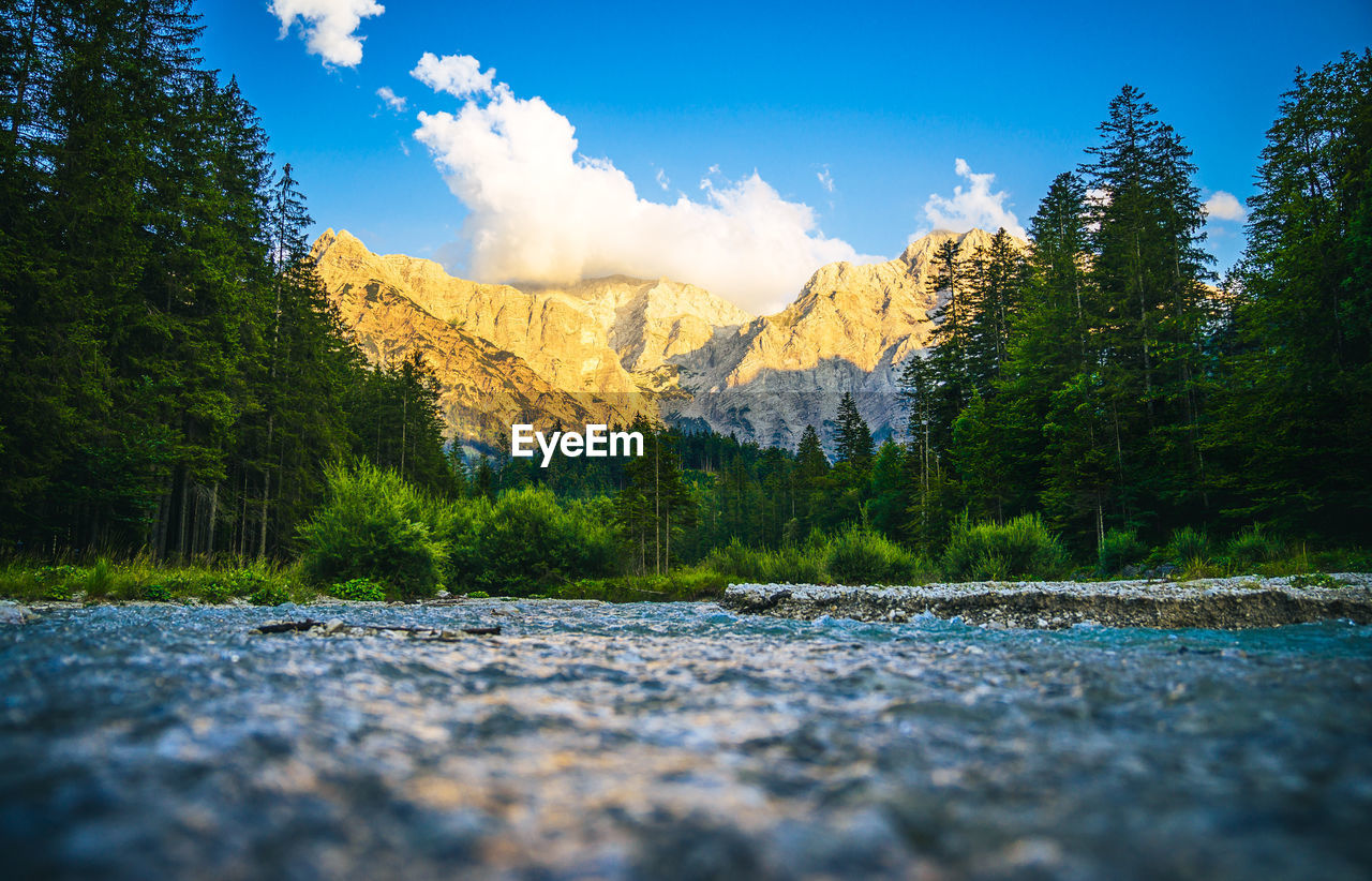 scenic view of road amidst trees against sky