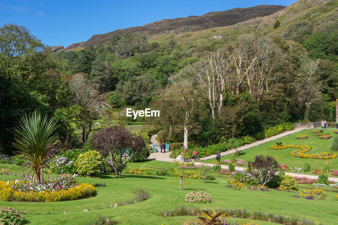 Scenic view of trees and mountains against sky