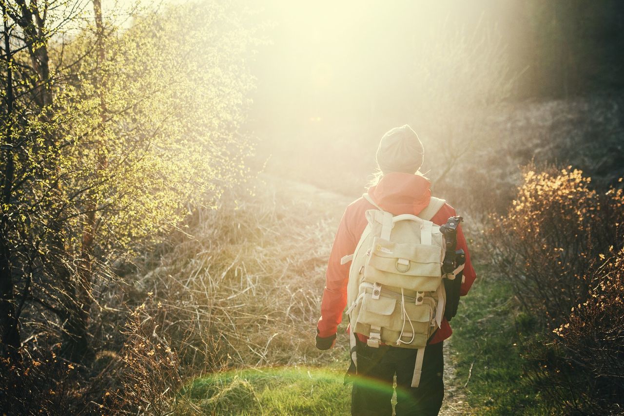 Rear view of man walking on landscape