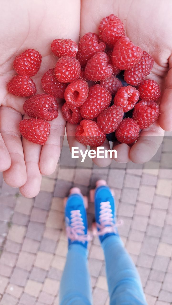 Handful of raspberries in child's hands