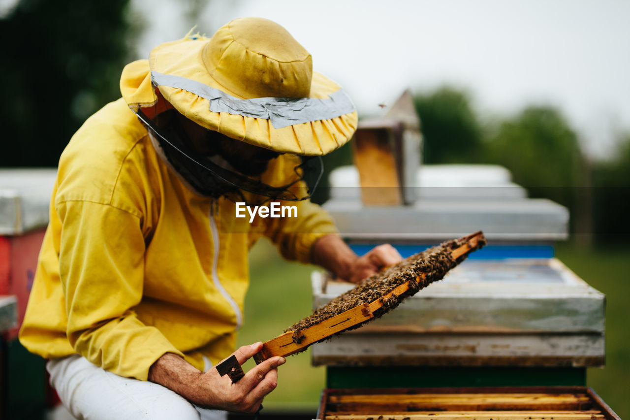 Beekeeper working over beehive at farm