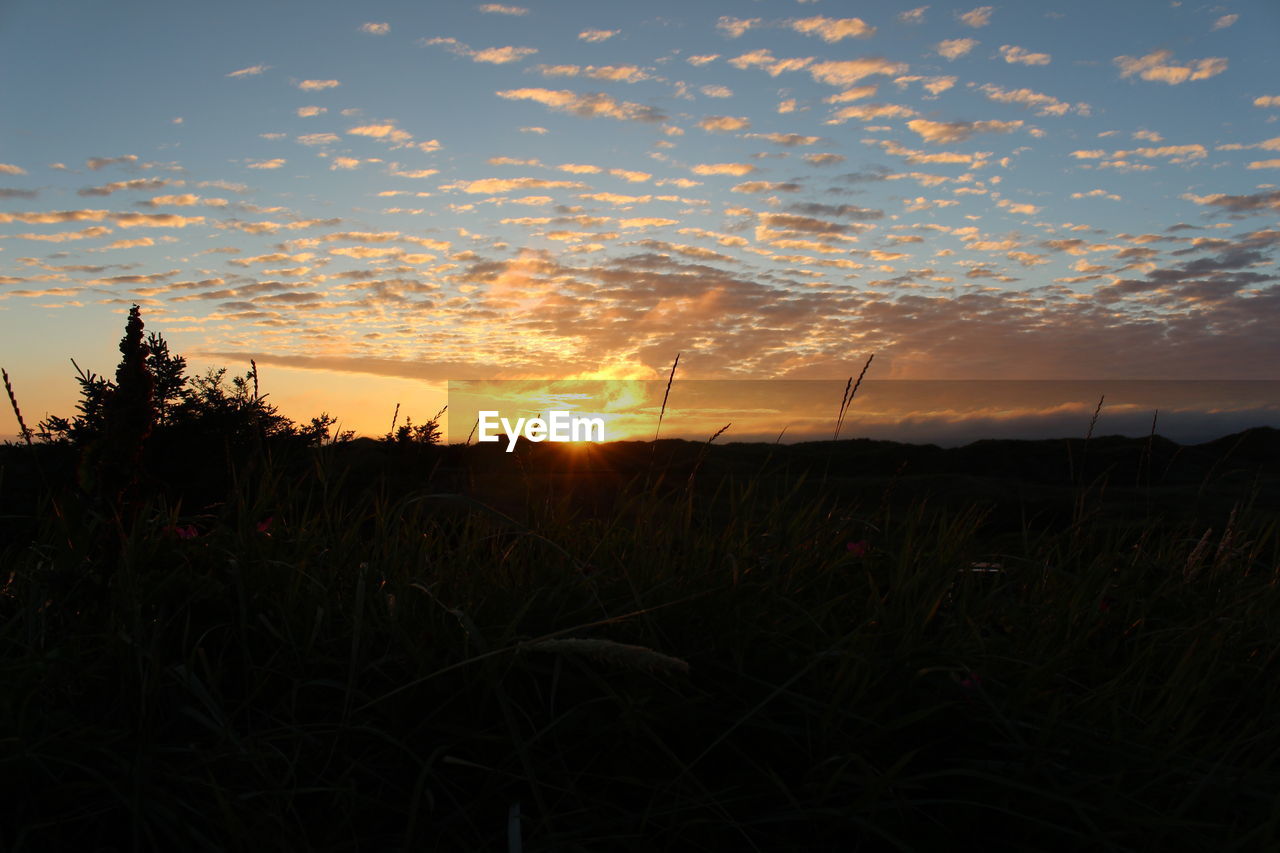 SCENIC VIEW OF SILHOUETTE FIELD AGAINST SKY AT SUNSET