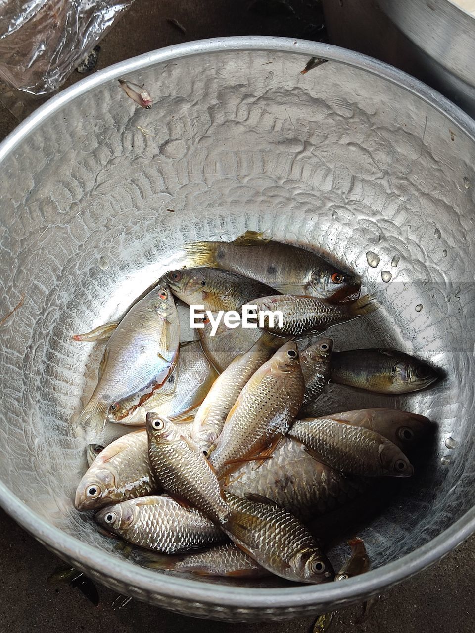 CLOSE-UP OF FISH FOR SALE IN MARKET