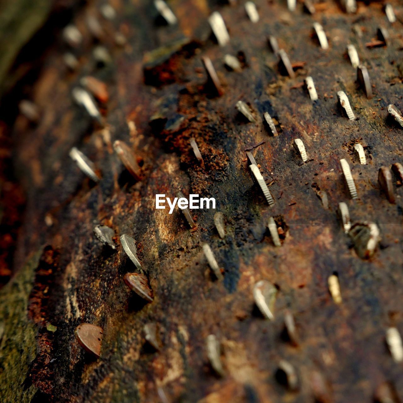 CLOSE-UP OF RUSTY METALLIC WOOD