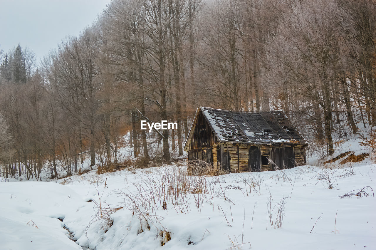 SNOW COVERED HOUSE BY TREES