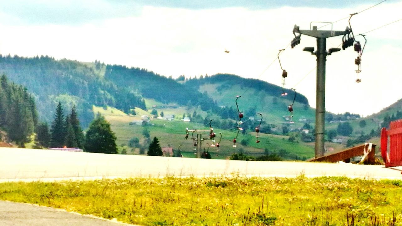 VIEW OF TREES AND MOUNTAINS