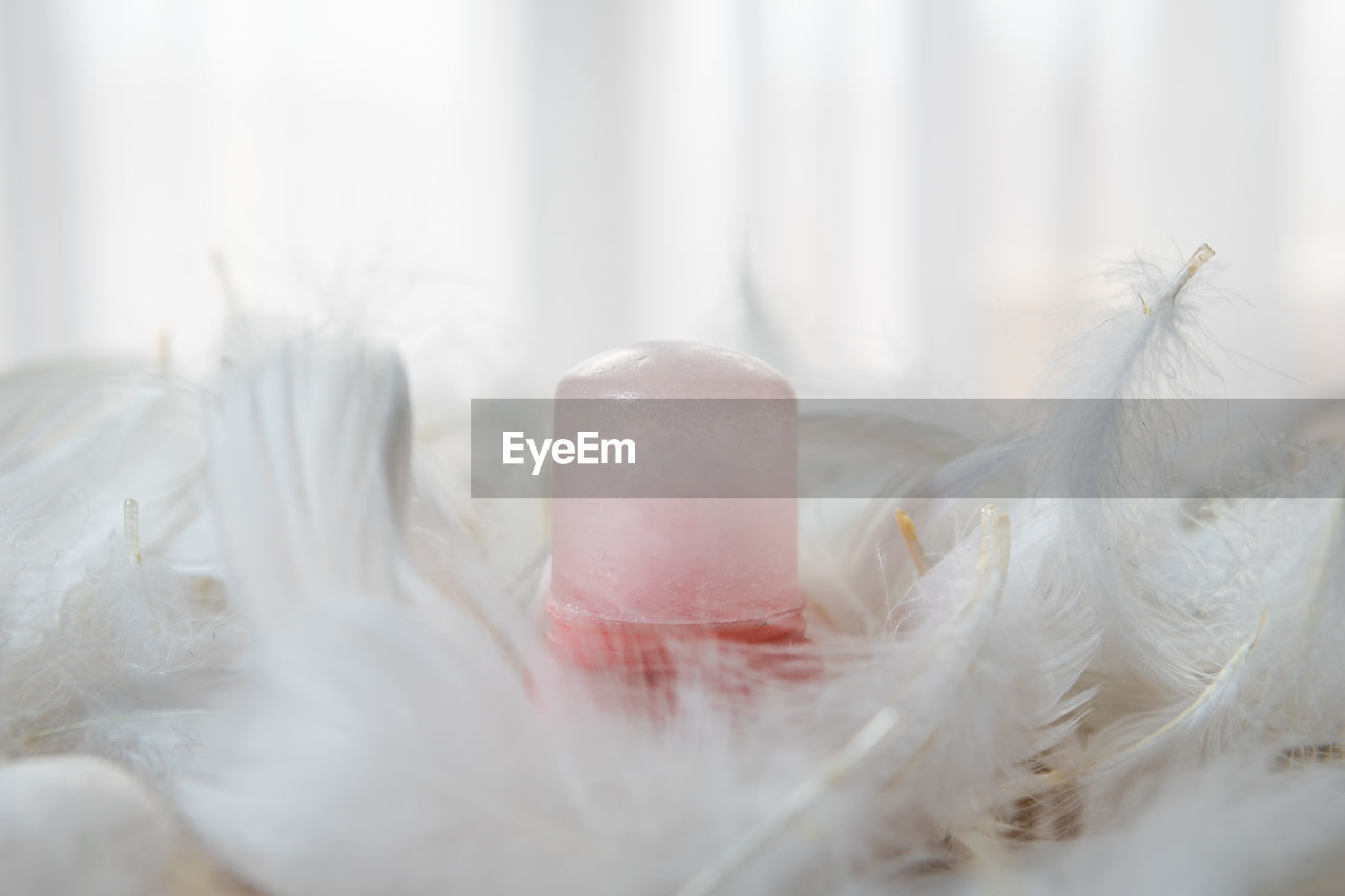 CLOSE-UP OF FEATHER ON WHITE FABRIC