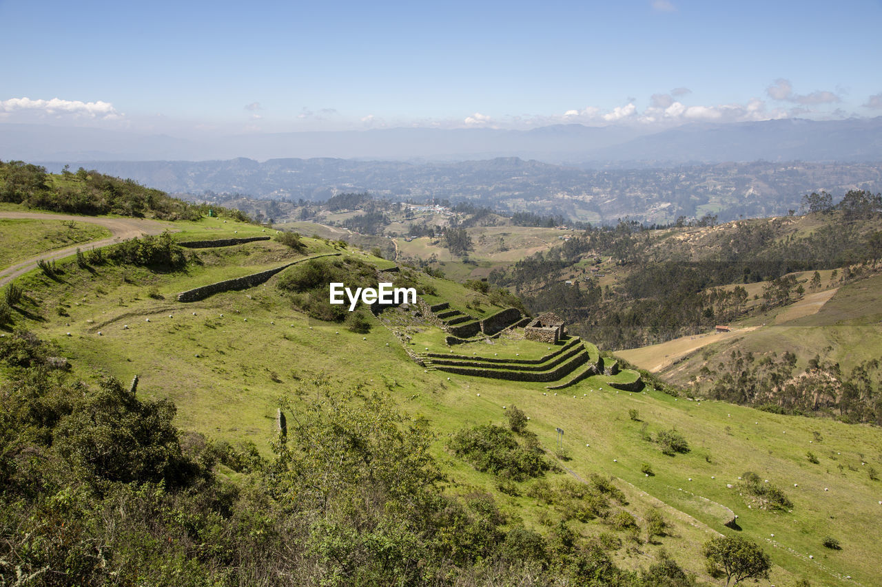 HIGH ANGLE VIEW OF TREES ON LANDSCAPE AGAINST SKY