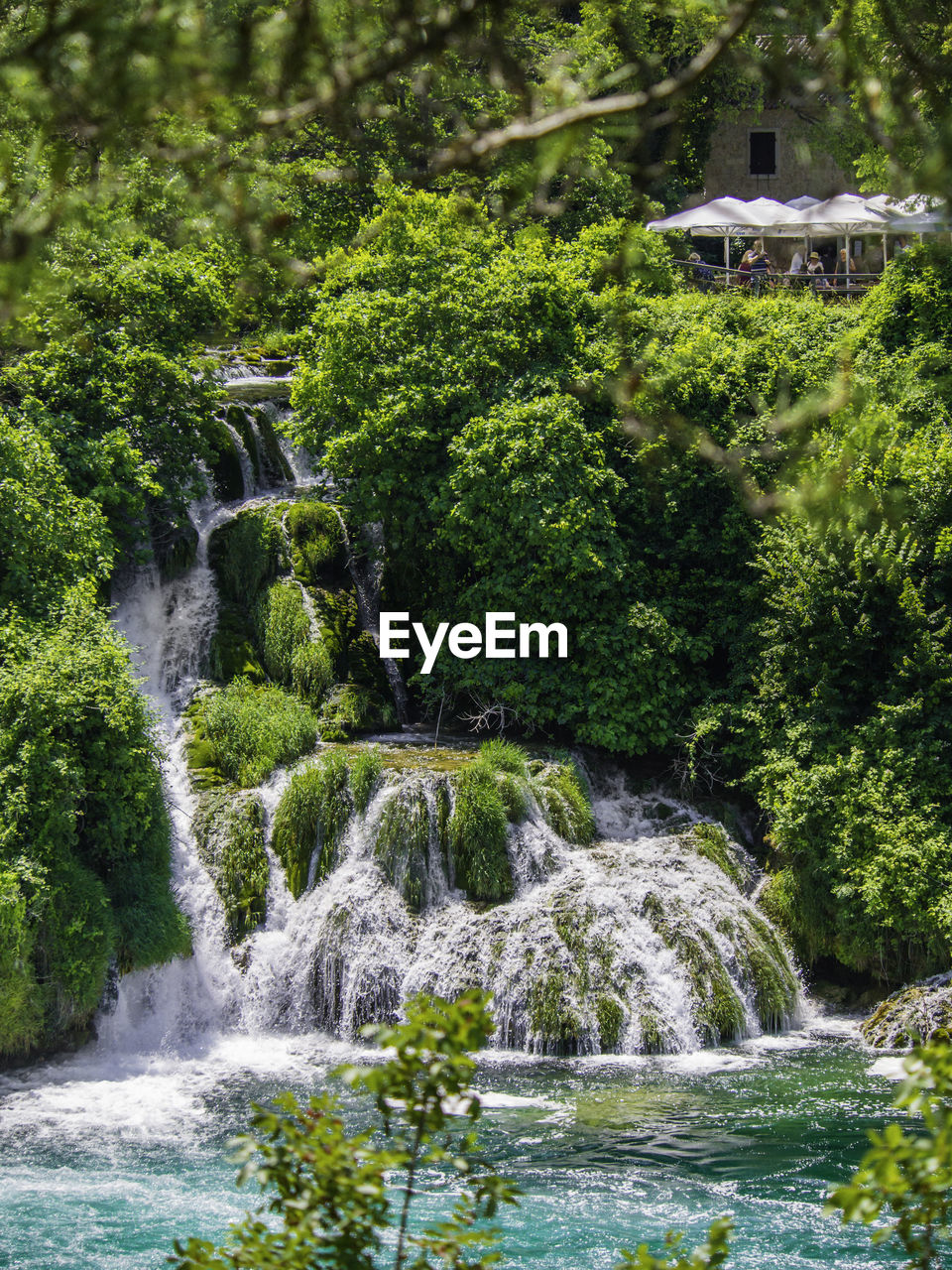 Scenic view of waterfall in forest