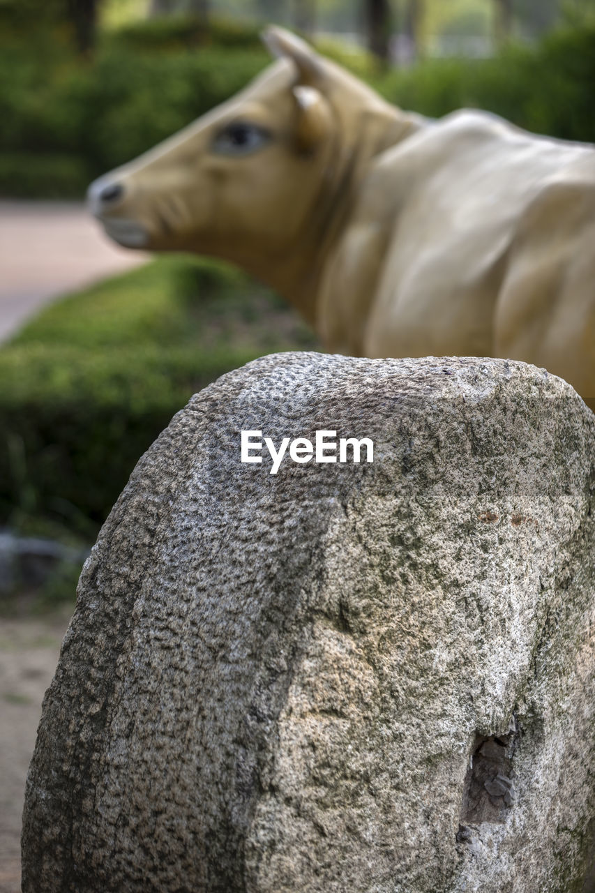 Close-up of millstone against cow sculpture at park