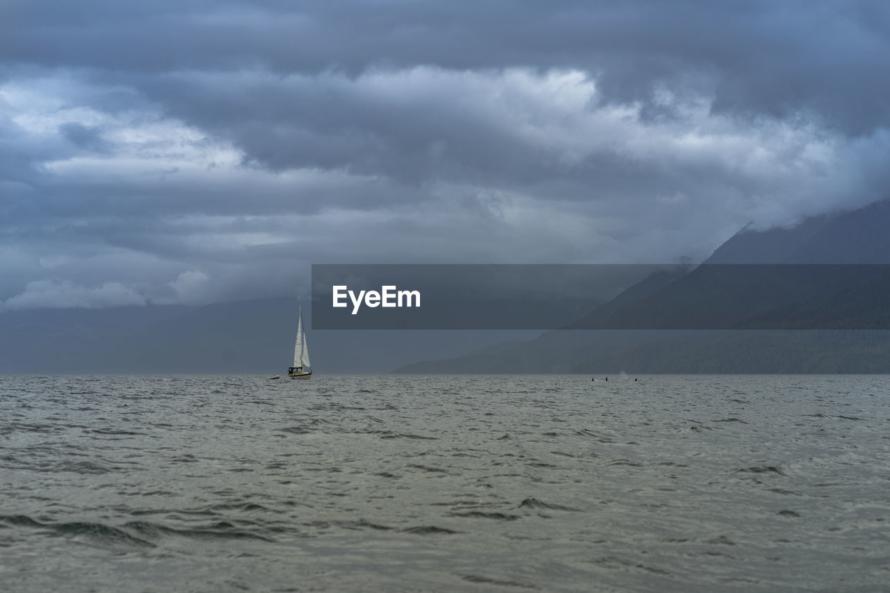 Sailboat in sea against sky