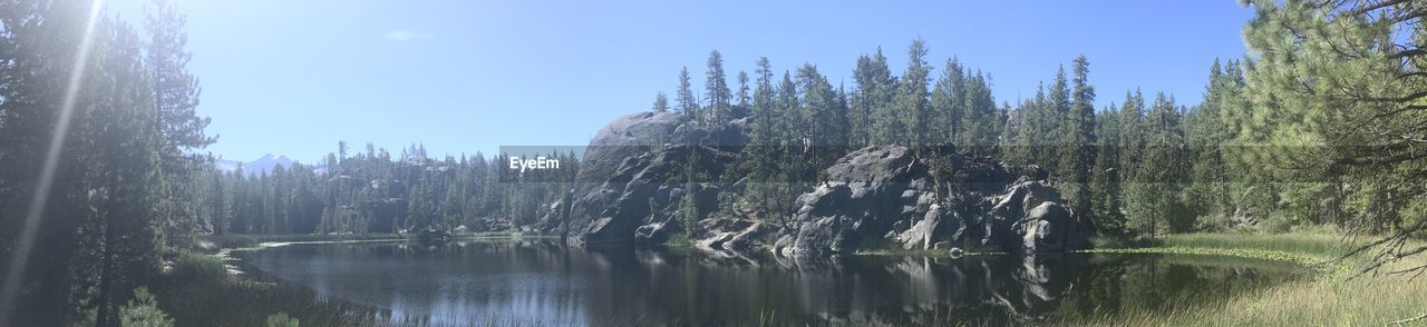 PANORAMIC VIEW OF LAKE AGAINST TREES IN FOREST
