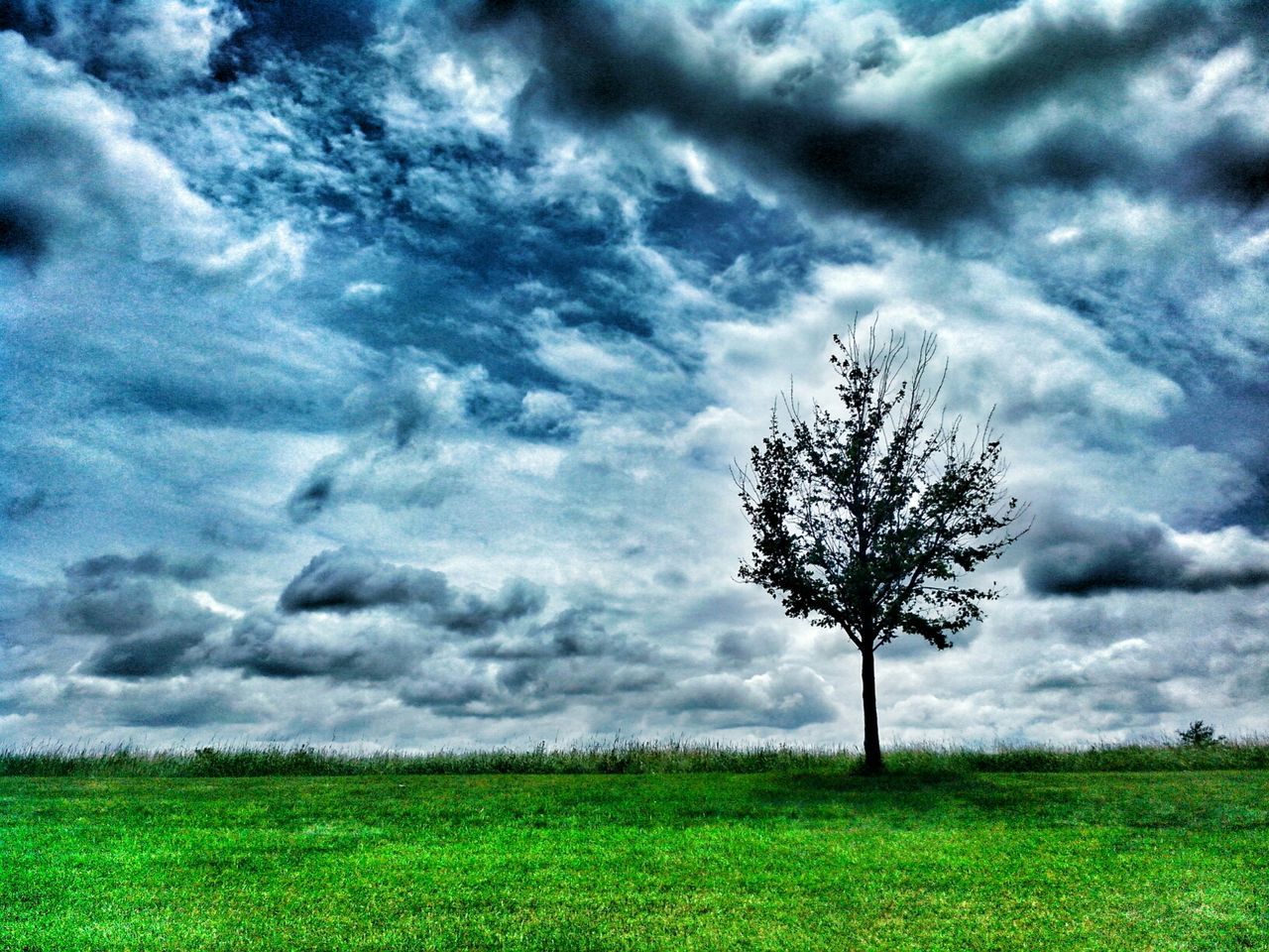 Lone tree on landscape against clouds