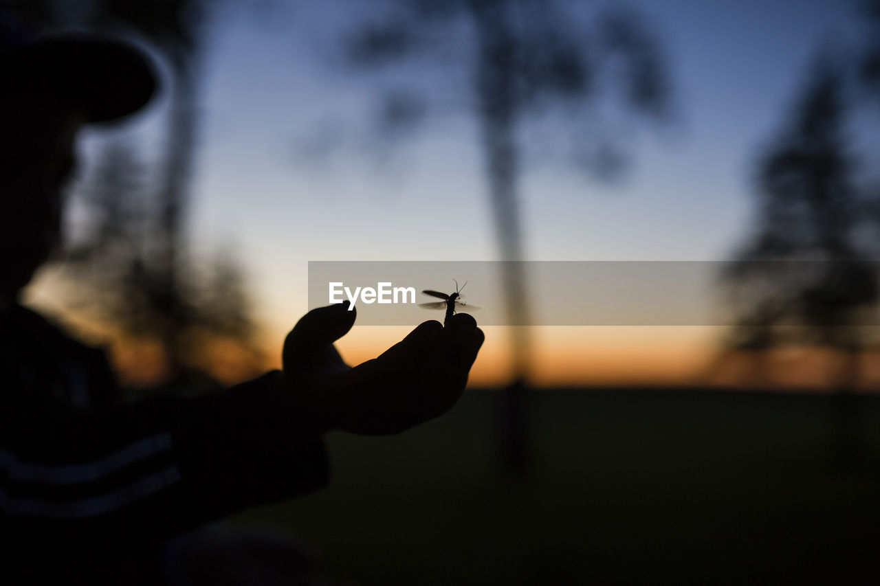 Cropped image of silhouette boy with insect on hand during dusk