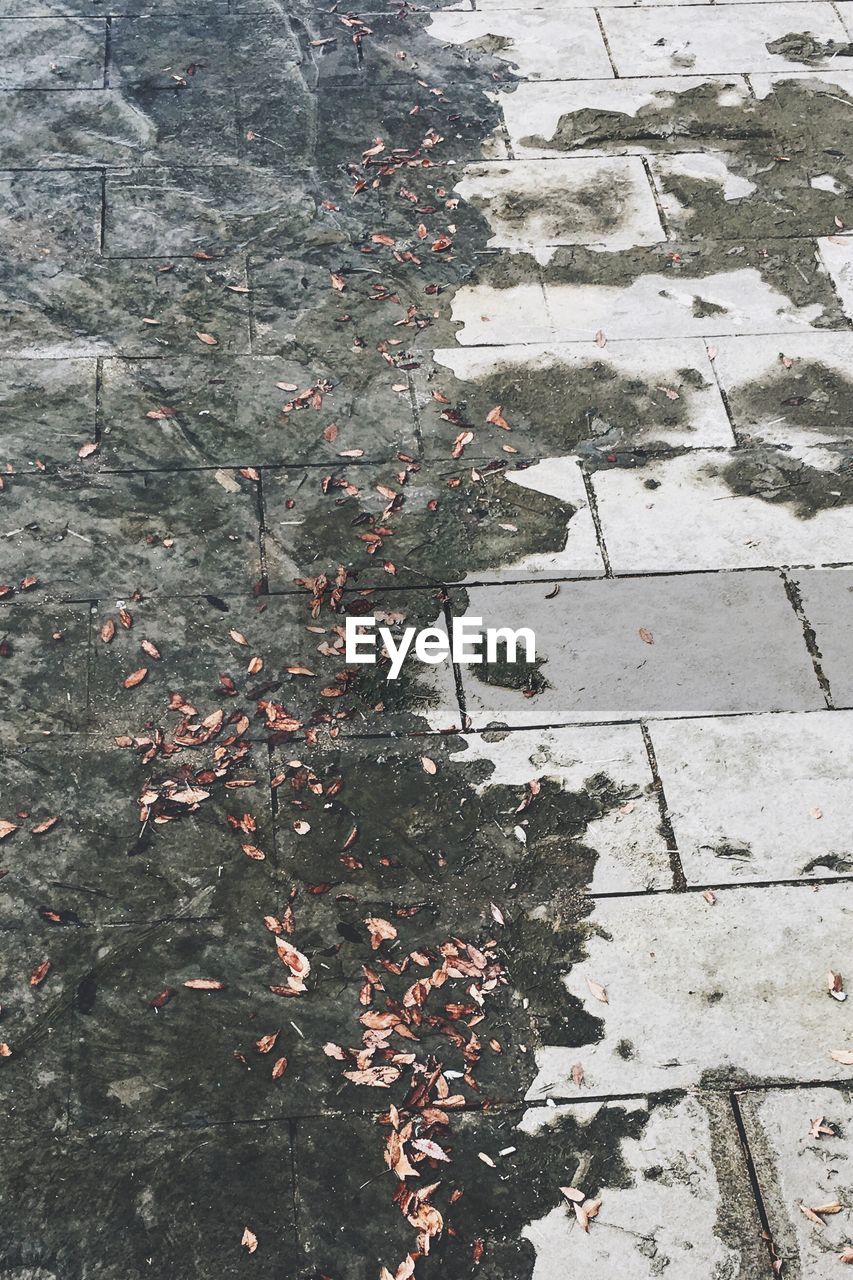 FULL FRAME SHOT OF PAVING STONES