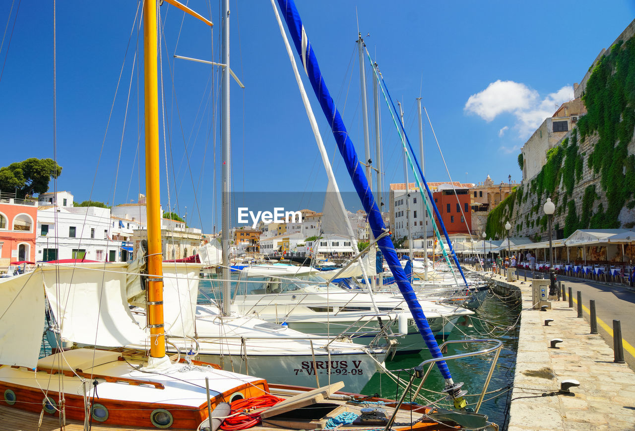 Sailboats moored in harbor