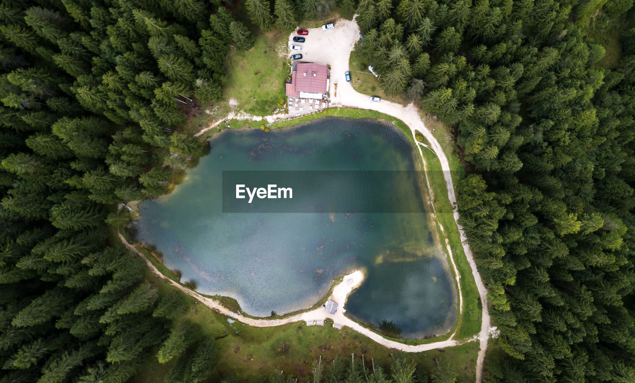 High angle view of lake amidst trees