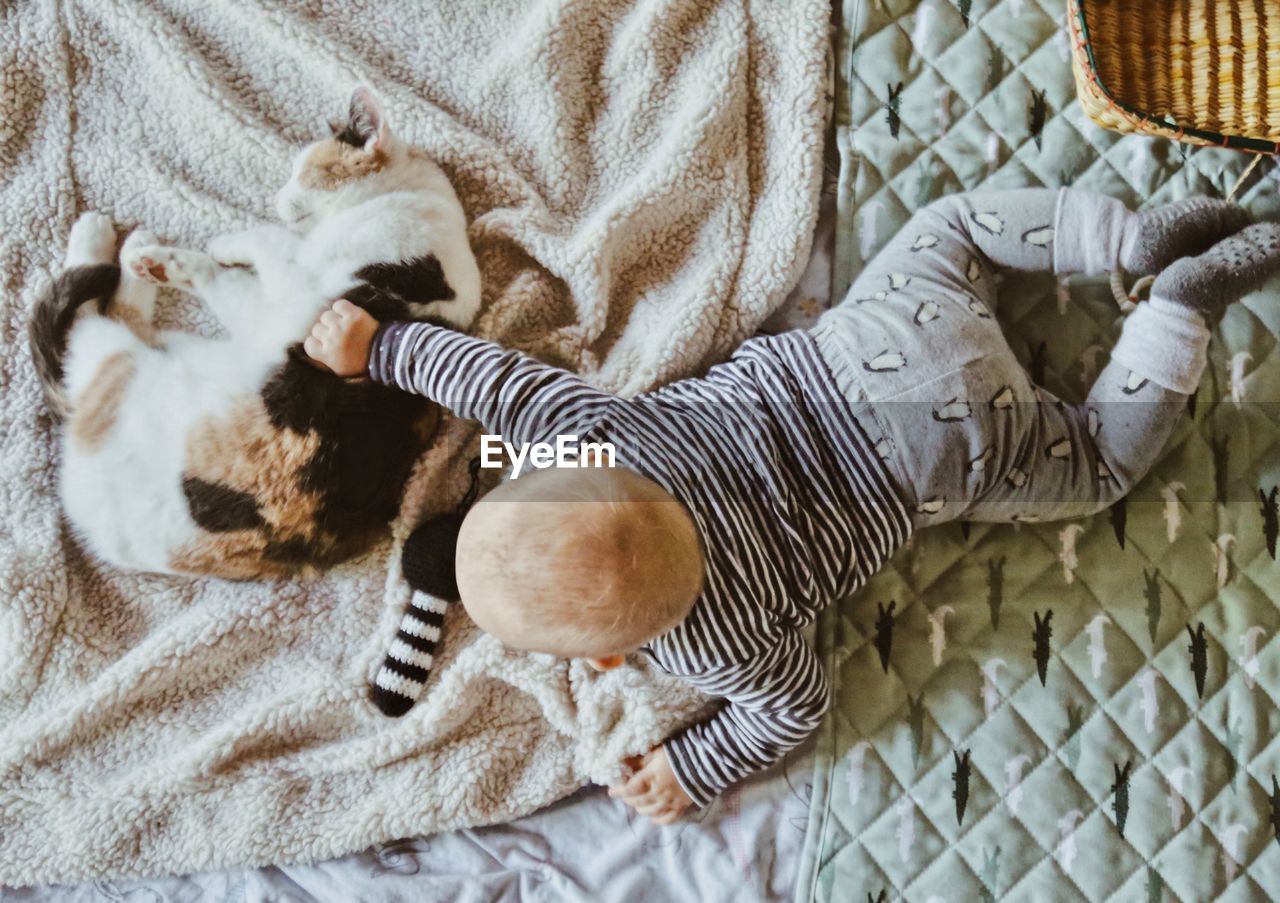 High angle view of baby boy playing with cat while relaxing on bed at home